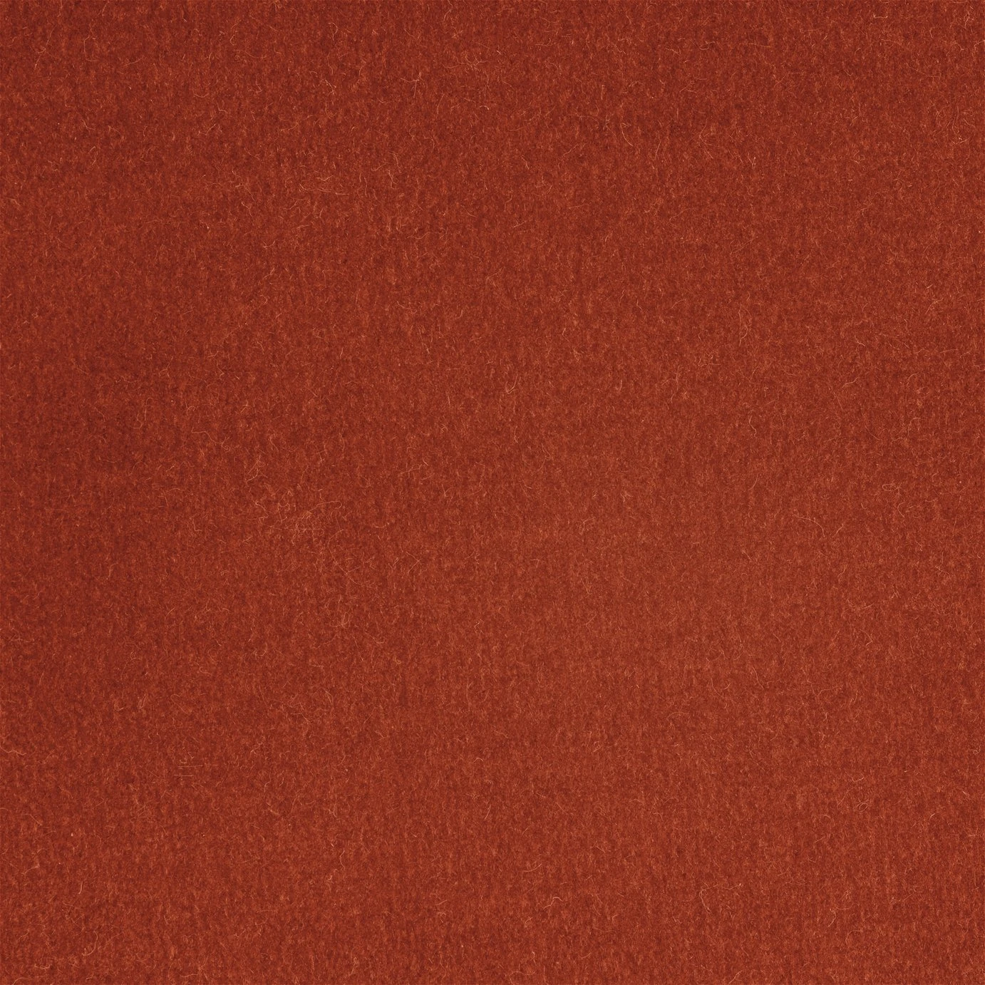 Habitat Fenner Velvet Accent Chair - Orange - Image 3