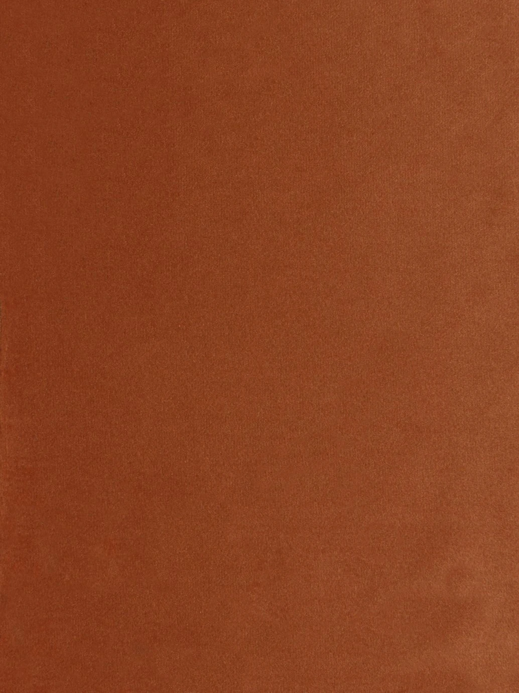 Habitat Roma Small Double Velvet Chairbed - Orange - Image 6